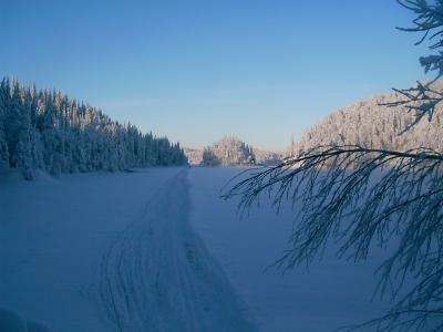 PICT0005