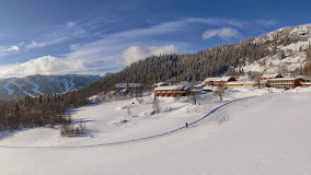 Grnolen vinter
