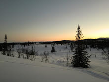 Sjusjen