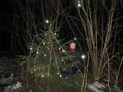 Velkommen inn i juleskogen igjen!