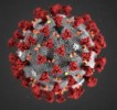koronavirus