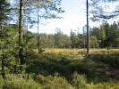 IMG4861