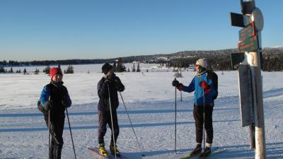 Sjusjen 2012 13