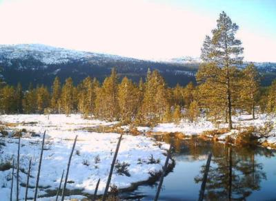 Webkamera Vikerfjell