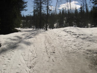 Vinter i marka