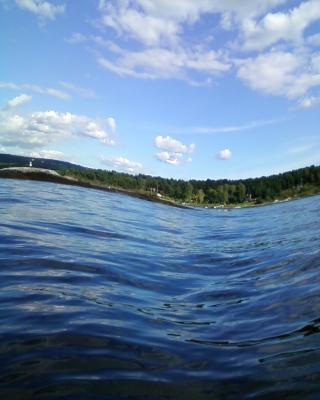 Ta foto 0023