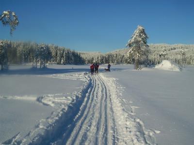 Skitur p Krokskogen
