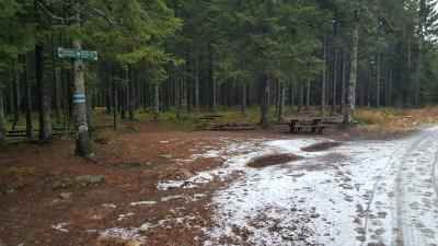 Solemskogen
