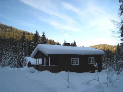 Smedmyrkoia vinter