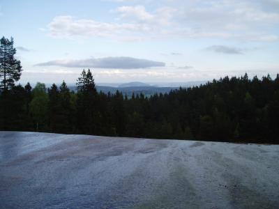96 01 Svaene ved Blfjellhytta4