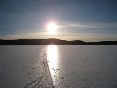 IMG5