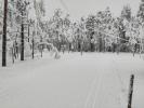 Skispor Oslomarka