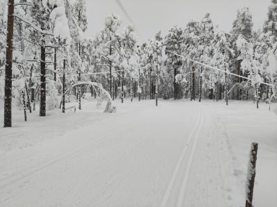 Skispor Oslomarka