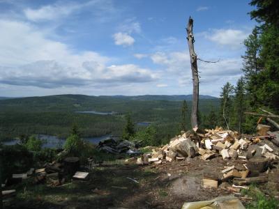 IMG9047