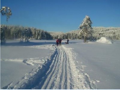 vinterbilde pa ski