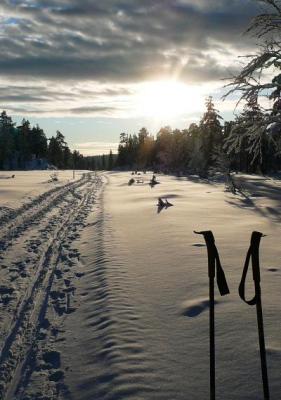Skispor