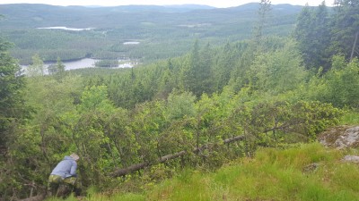 Utsikten fra Sellanrå