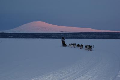Hundekjring